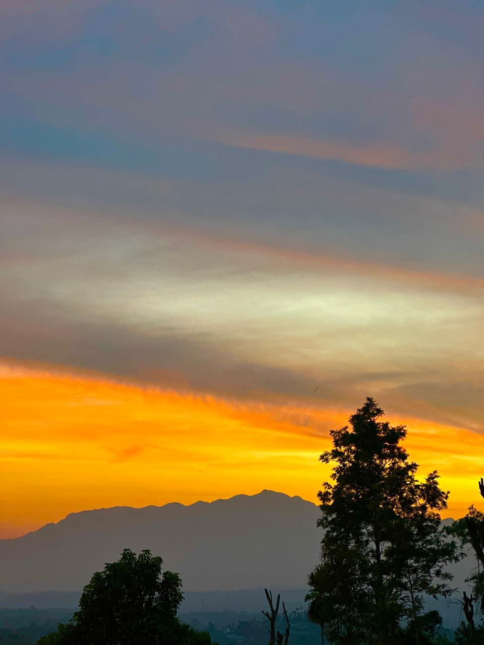 whatsapp image 2025 12 19 at 20.10.33